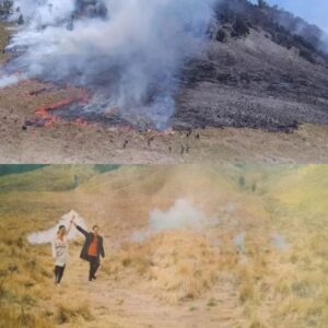 Kebakaran Gunung Bromo, Rendahnya Edukasi Lingkungan