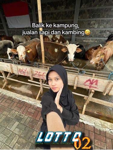 Kuliah di Jepang Sampai S1, Pilih Pulang Ke Indonesia Jualan Kambing